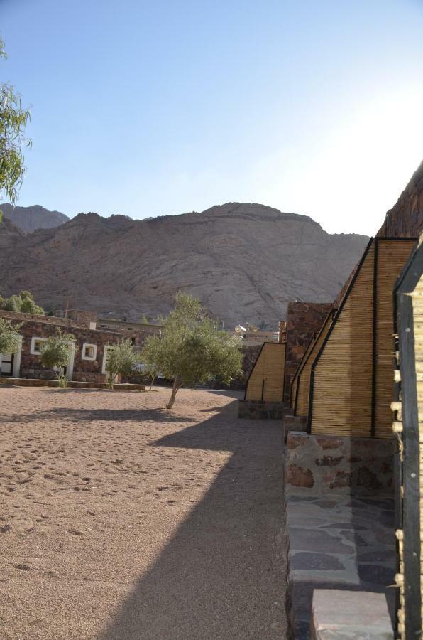 Sheikh Mousa Bedouin Camp Saint Catherine Exteriér fotografie